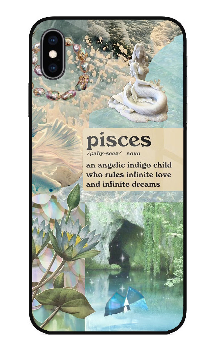 Pisces Zodiac iPhone XS Max Back Cover, Glass case