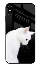 Snow Gaze iPhone XS Max Glass Case