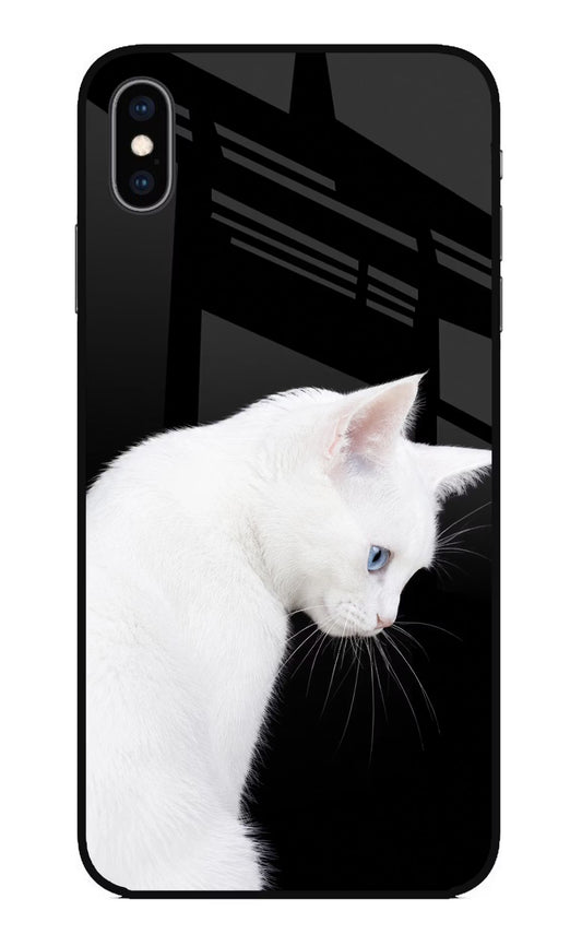Snow Gaze iPhone XS Max Glass Case