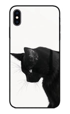 Shadow Gaze iPhone XS Max Glass Case