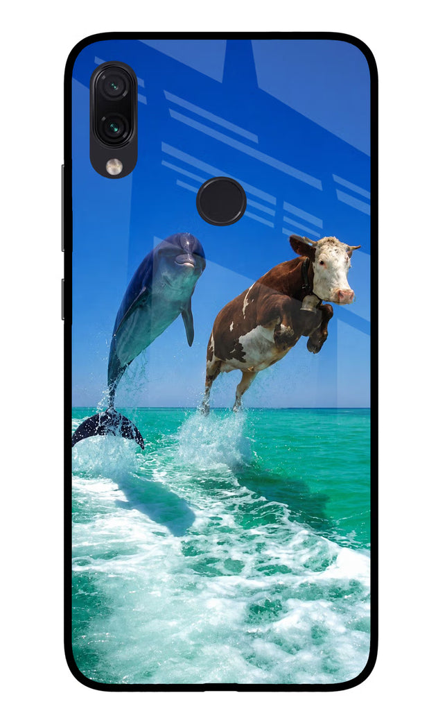 Dolphin vs Cow Redmi Note 7S Glass Case