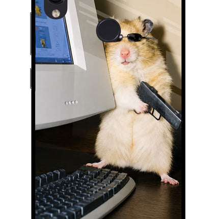 Hacker Hamster Redmi Note 7S Glass Case
