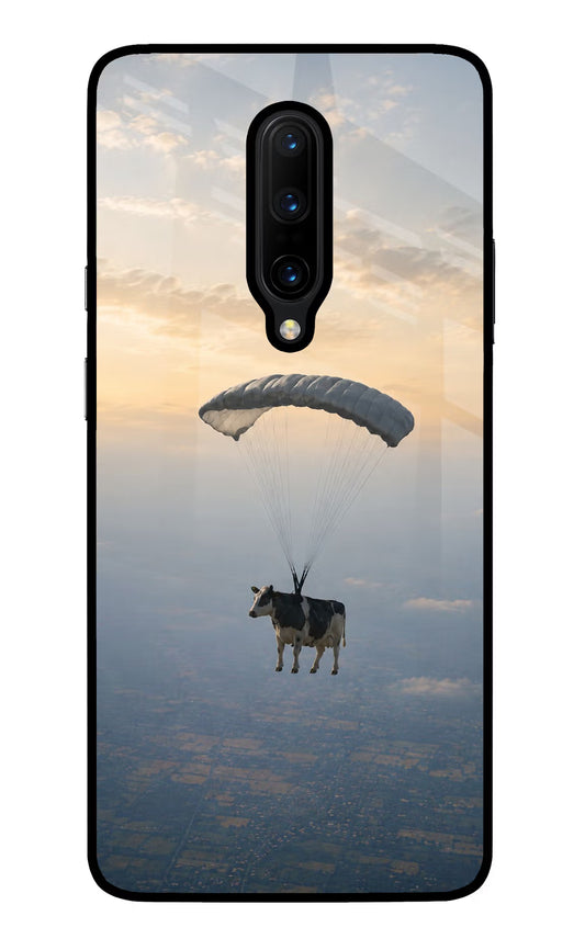 Skydiving Cow Oneplus 7 Pro Glass Case
