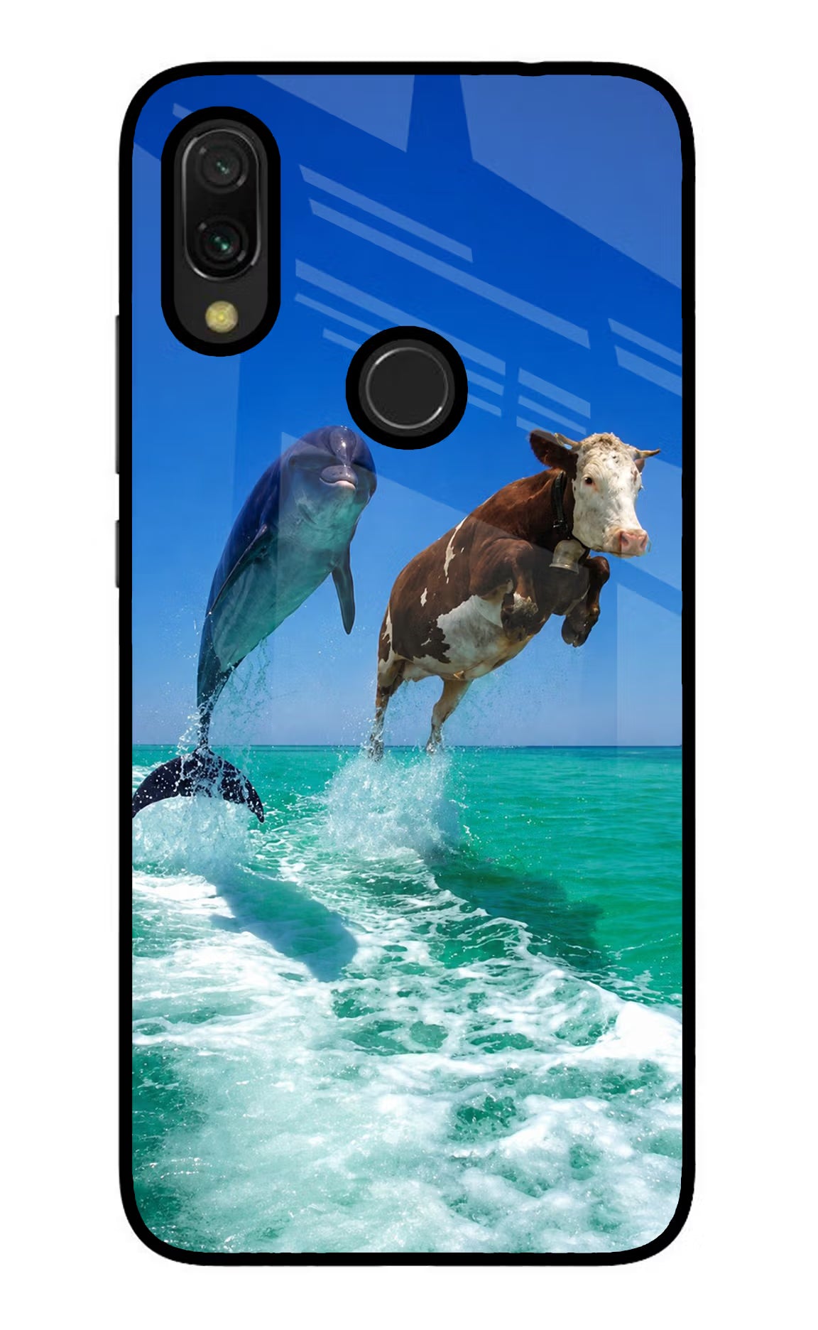 Dolphin vs Cow Redmi Y3 Glass Case