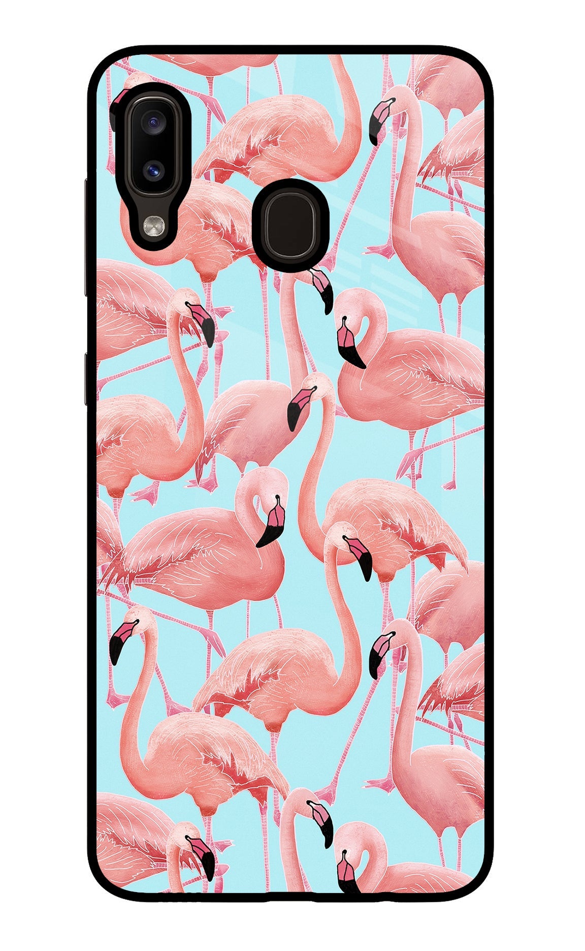 Flamboyance Samsung A20/M10s Back Cover