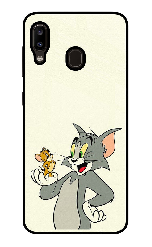 Tom & Jerry Samsung A20/M10s Glass Case