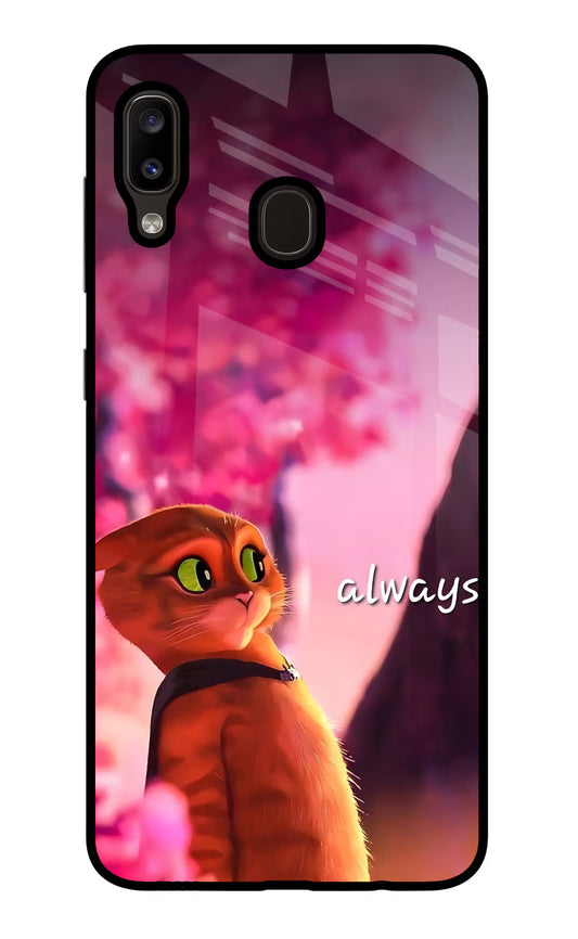 Always Cat Samsung A20/M10s Glass Case