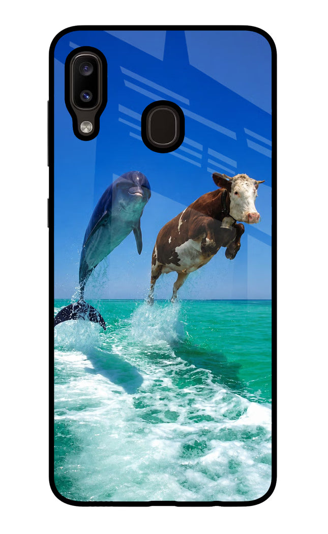 Dolphin vs Cow Samsung A20/M10s Glass Case