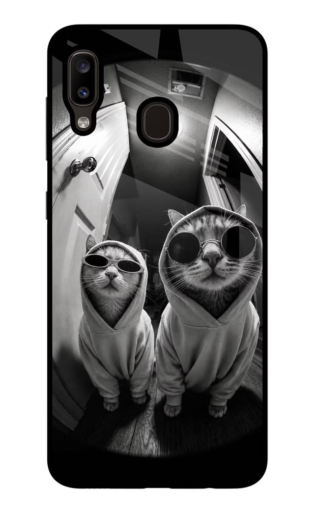 Hood Cats Samsung A20/M10s Glass Case