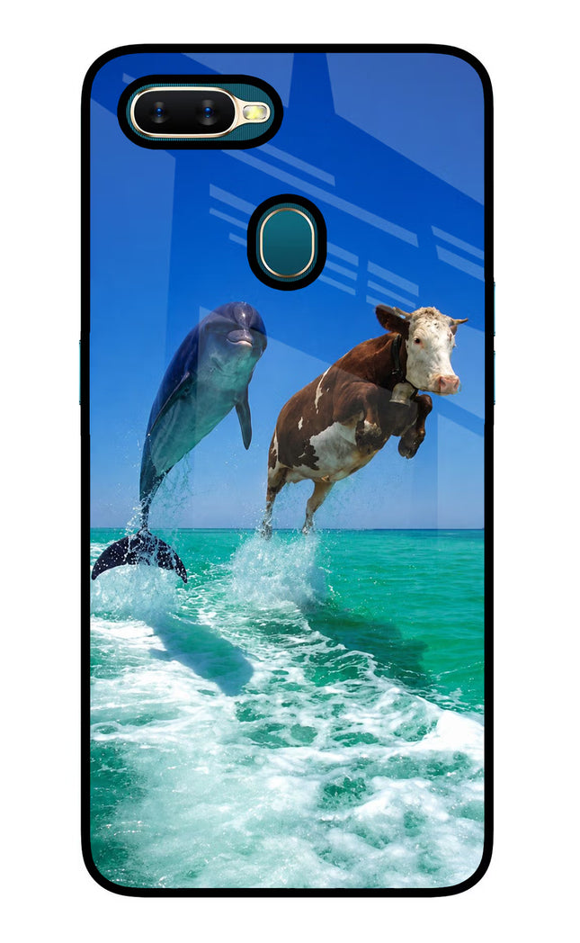 Dolphin vs Cow Oppo A7/A5s/A12 Glass Case Back Cover by Casekaro