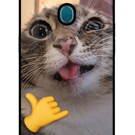 Silly Cat Call Oppo A7/A5s/A12 Glass Case Back Cover by Casekaro