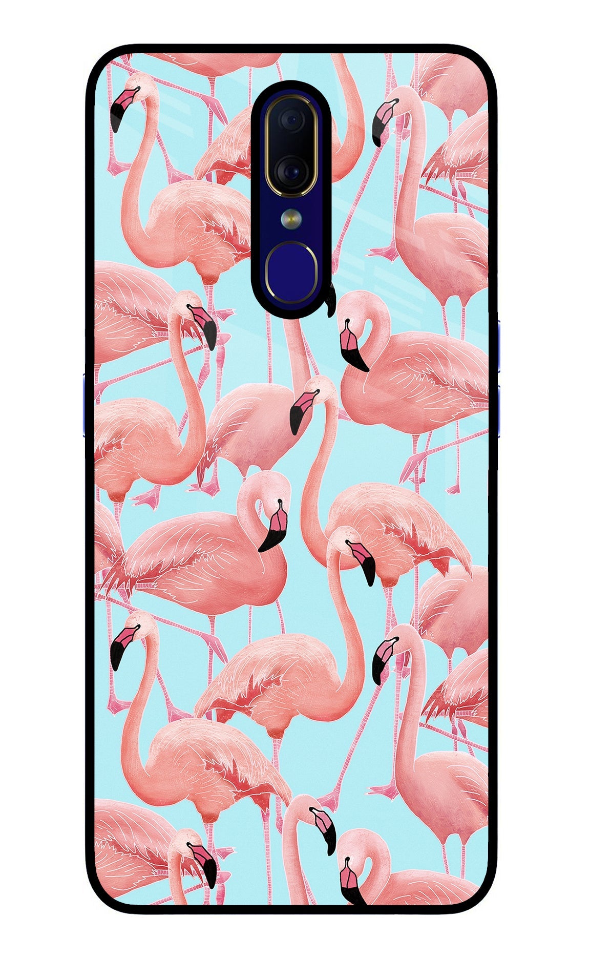 Flamboyance Oppo F11 Back Cover