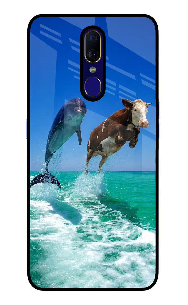 Dolphin vs Cow Oppo F11 Glass Case Back Cover by Casekaro
