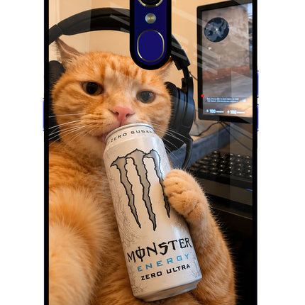 Gamer Cat Energy Oppo F11 Glass Case Back Cover by Casekaro