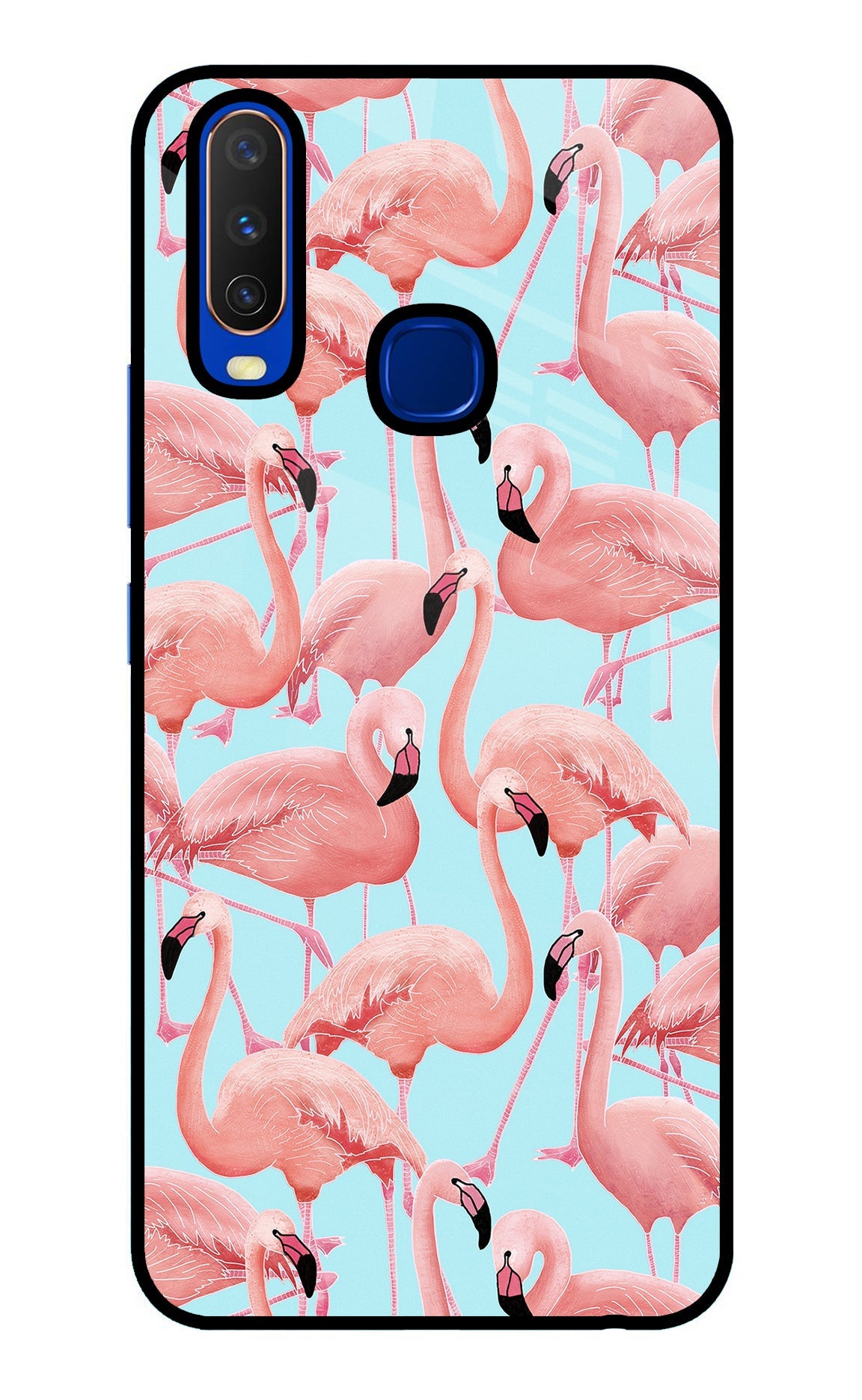 Flamboyance Vivo Y15/Y17 Glass Case