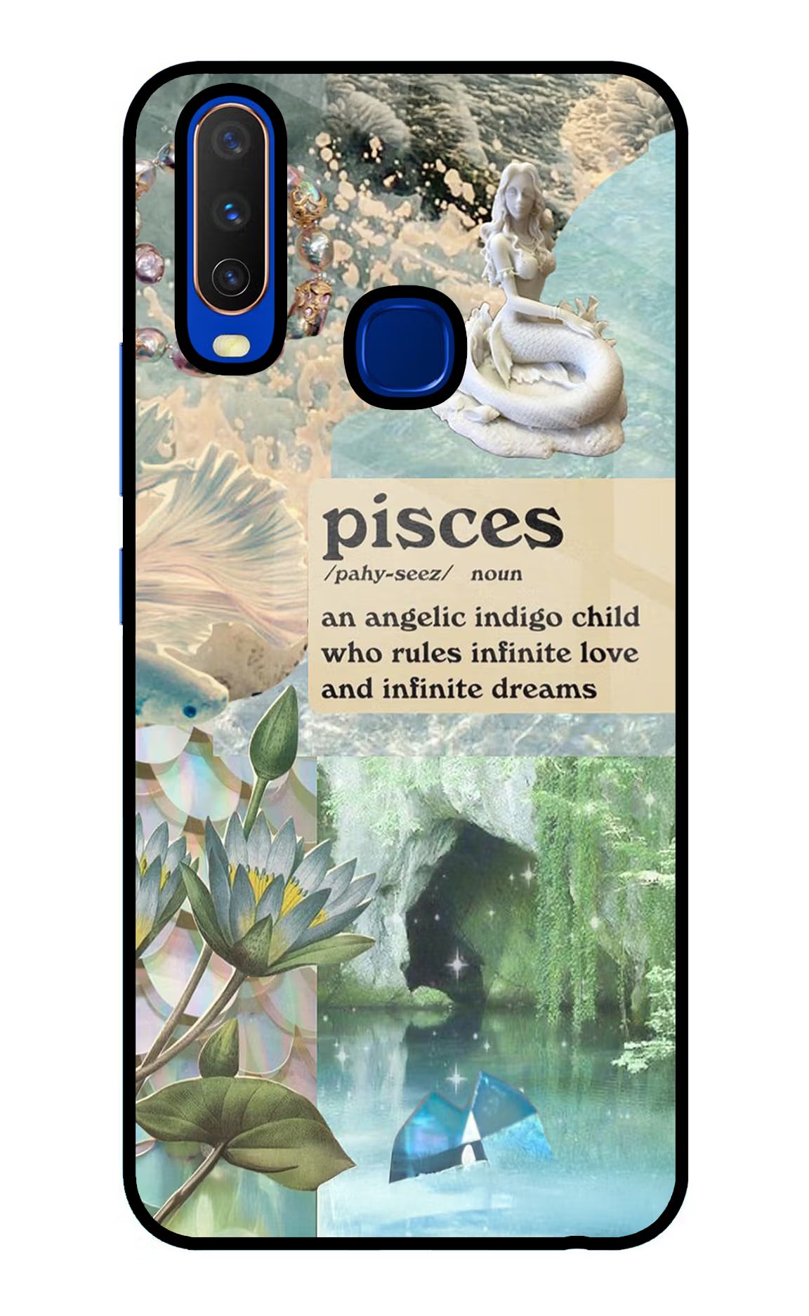 Pisces Zodiac Vivo Y15/Y17 Glass Case