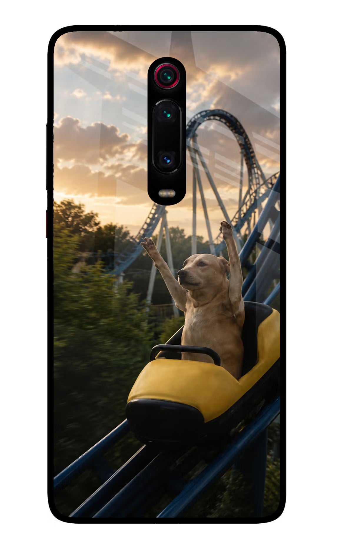 Rollercoaster Dog Redmi K20 Pro Glass Case
