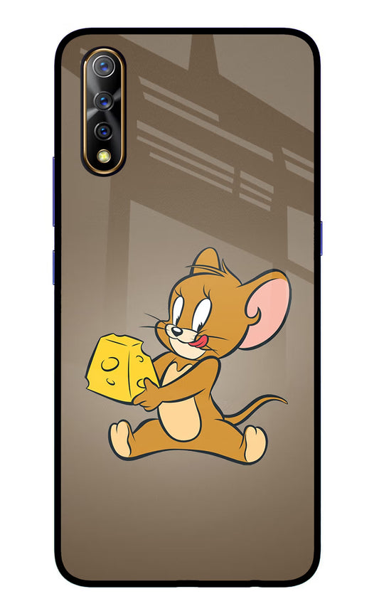 Jerry Vivo S1/Z1x Glass Case