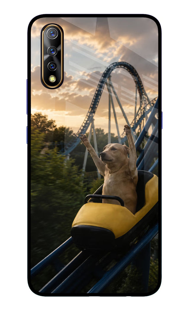Rollercoaster Dog Vivo S1/Z1x Glass Case