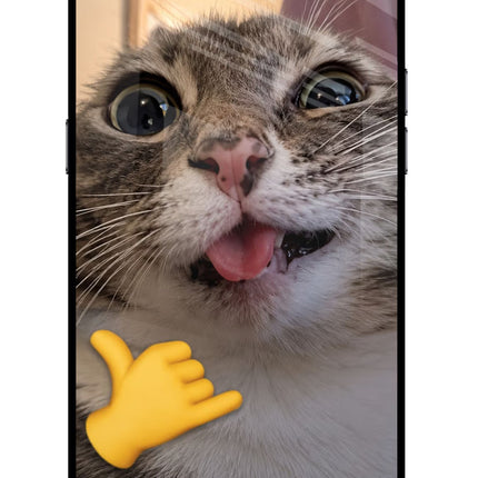 Silly Cat Call Realme C2 Glass Case