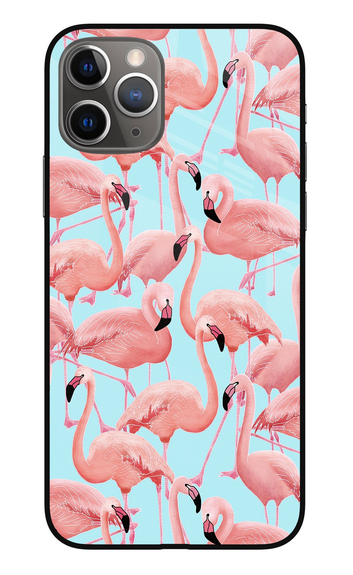 Flamboyance iPhone 11 Pro Back Cover