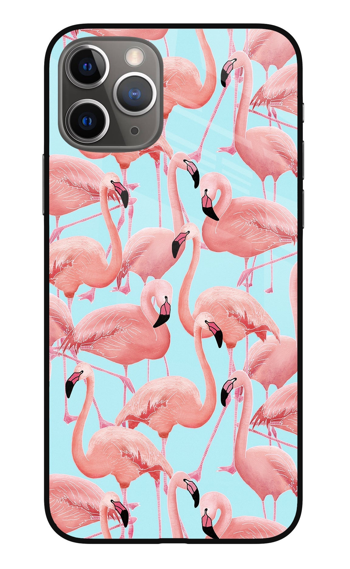 Flamboyance iPhone 11 Pro Glass Case