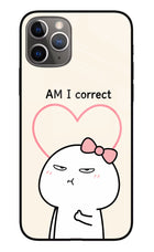 Always Right iPhone 11 Pro Glass Case