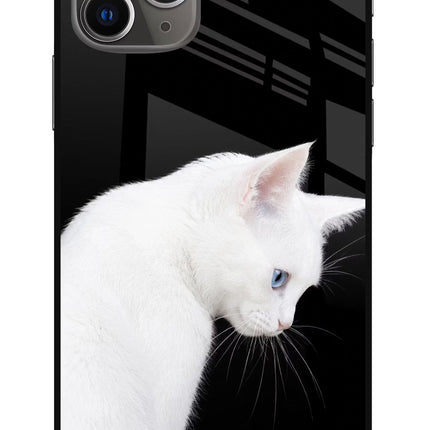 Snow Gaze iPhone 11 Pro Glass Case