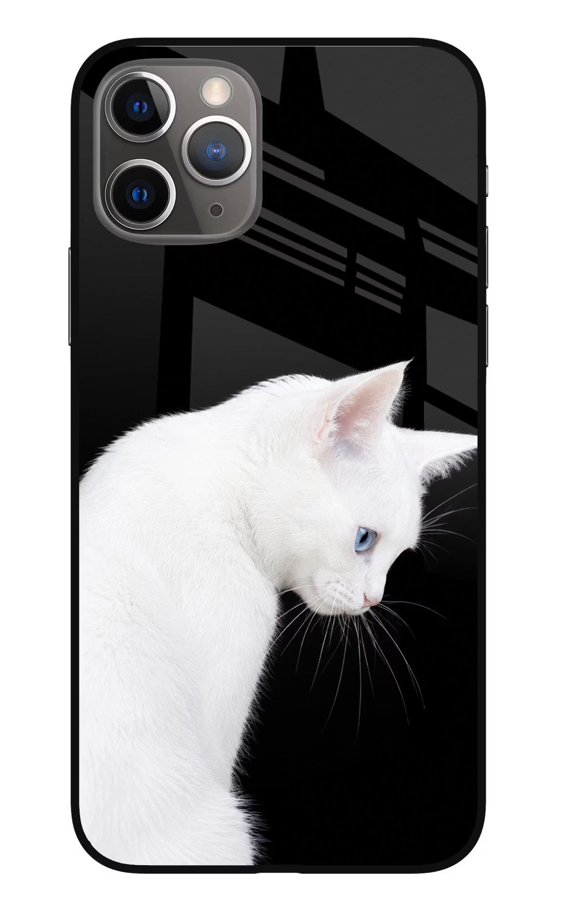 Snow Gaze iPhone 11 Pro Glass Case