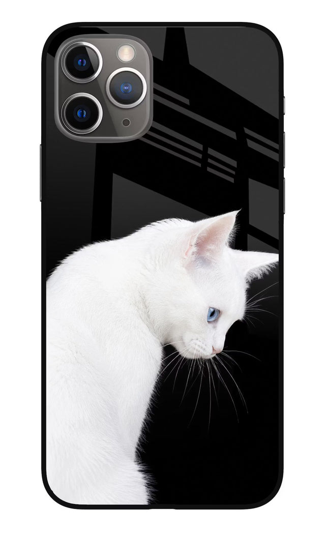 Snow Gaze iPhone 11 Pro Glass Case