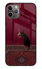 Midnight Cat iPhone 11 Pro Glass Case