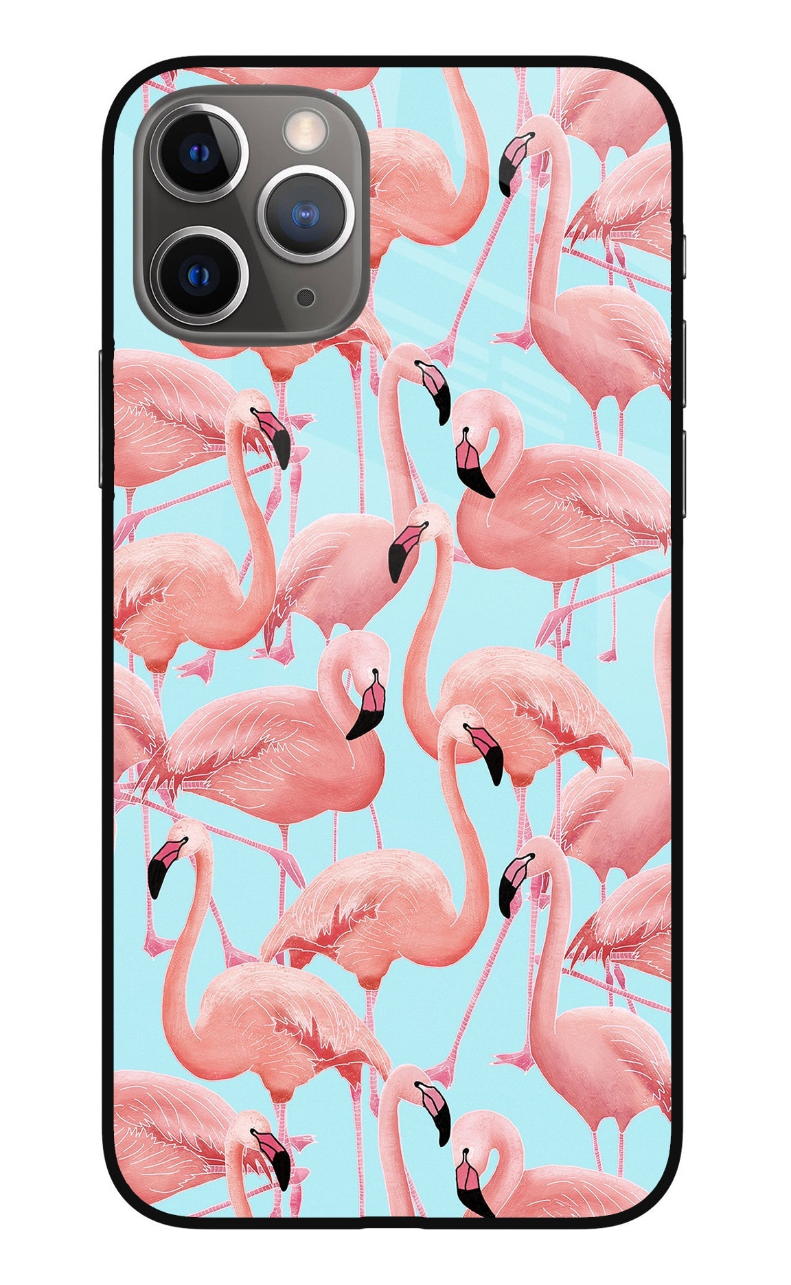 Flamboyance iPhone 11 Pro Max Back Cover