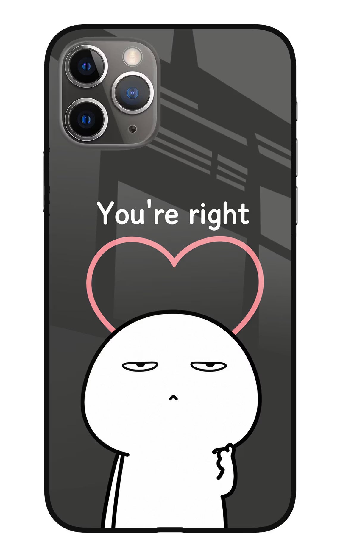 You're Right iPhone 11 Pro Max Glass Case