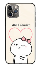 Always Right iPhone 11 Pro Max Glass Case