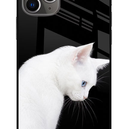 Snow Gaze iPhone 11 Pro Max Glass Case