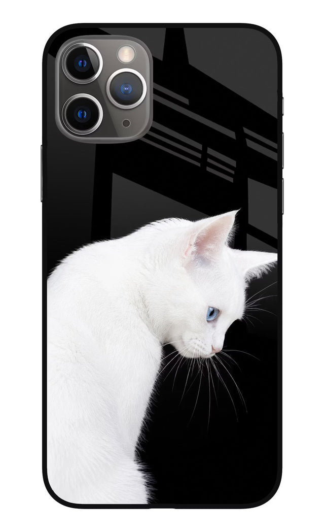 Snow Gaze iPhone 11 Pro Max Glass Case