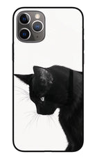 Shadow Gaze iPhone 11 Pro Max Glass Case