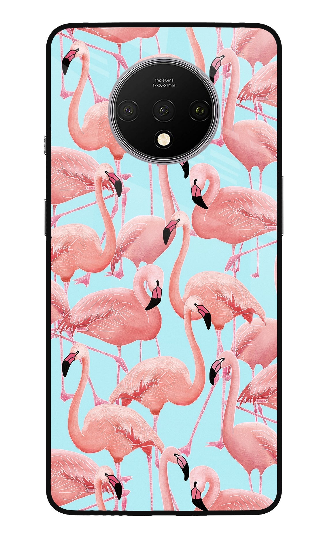 Flamboyance Oneplus 7T Glass Case