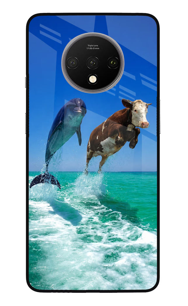 Dolphin vs Cow Oneplus 7T Glass Case