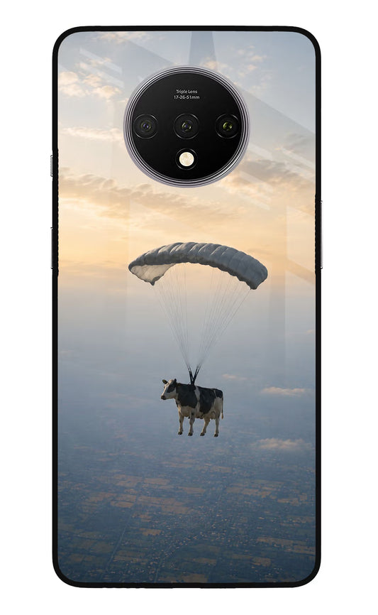 Skydiving Cow Oneplus 7T Glass Case