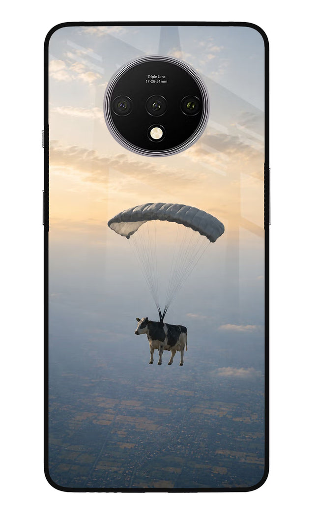 Skydiving Cow Oneplus 7T Glass Case