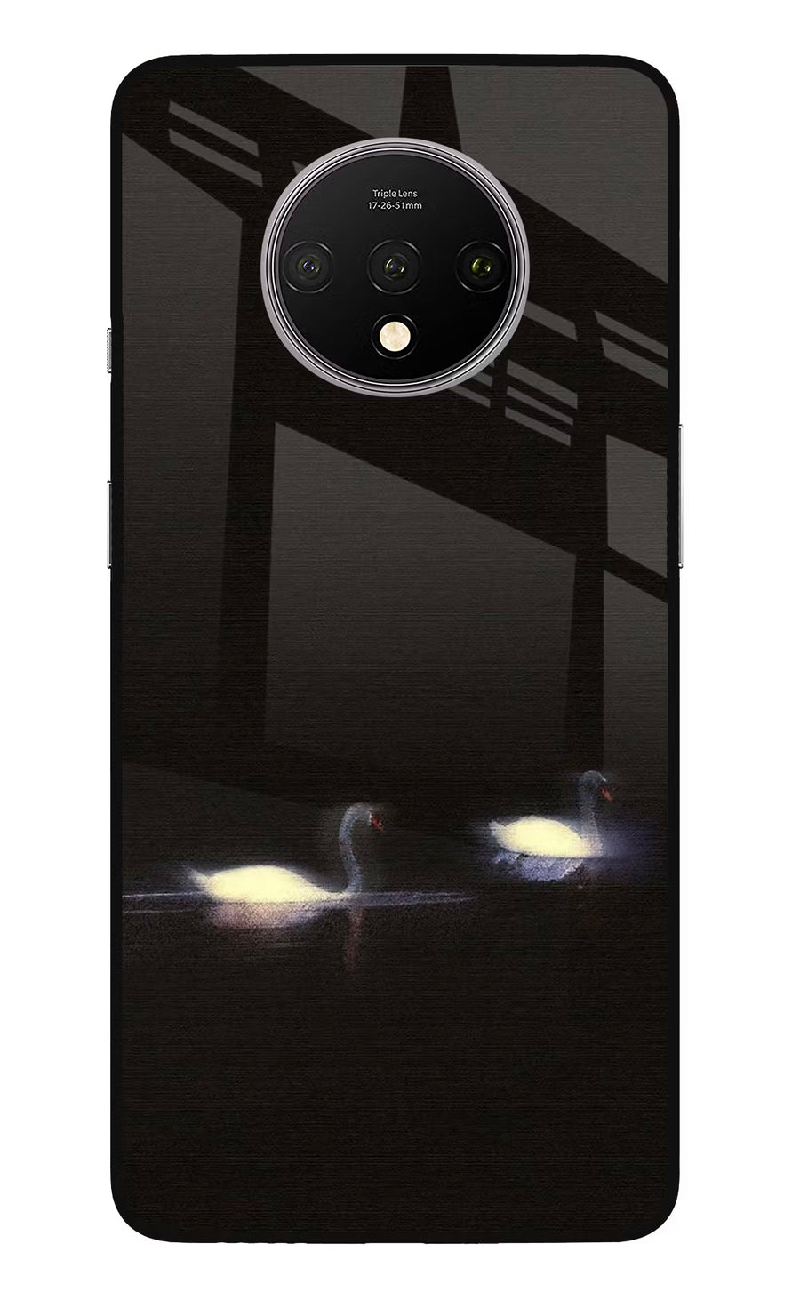 Silent Swans Oneplus 7T Back Cover, Glass case