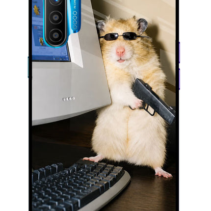Hacker Hamster Realme XT/X2 Glass Case Back Cover by Casekaro