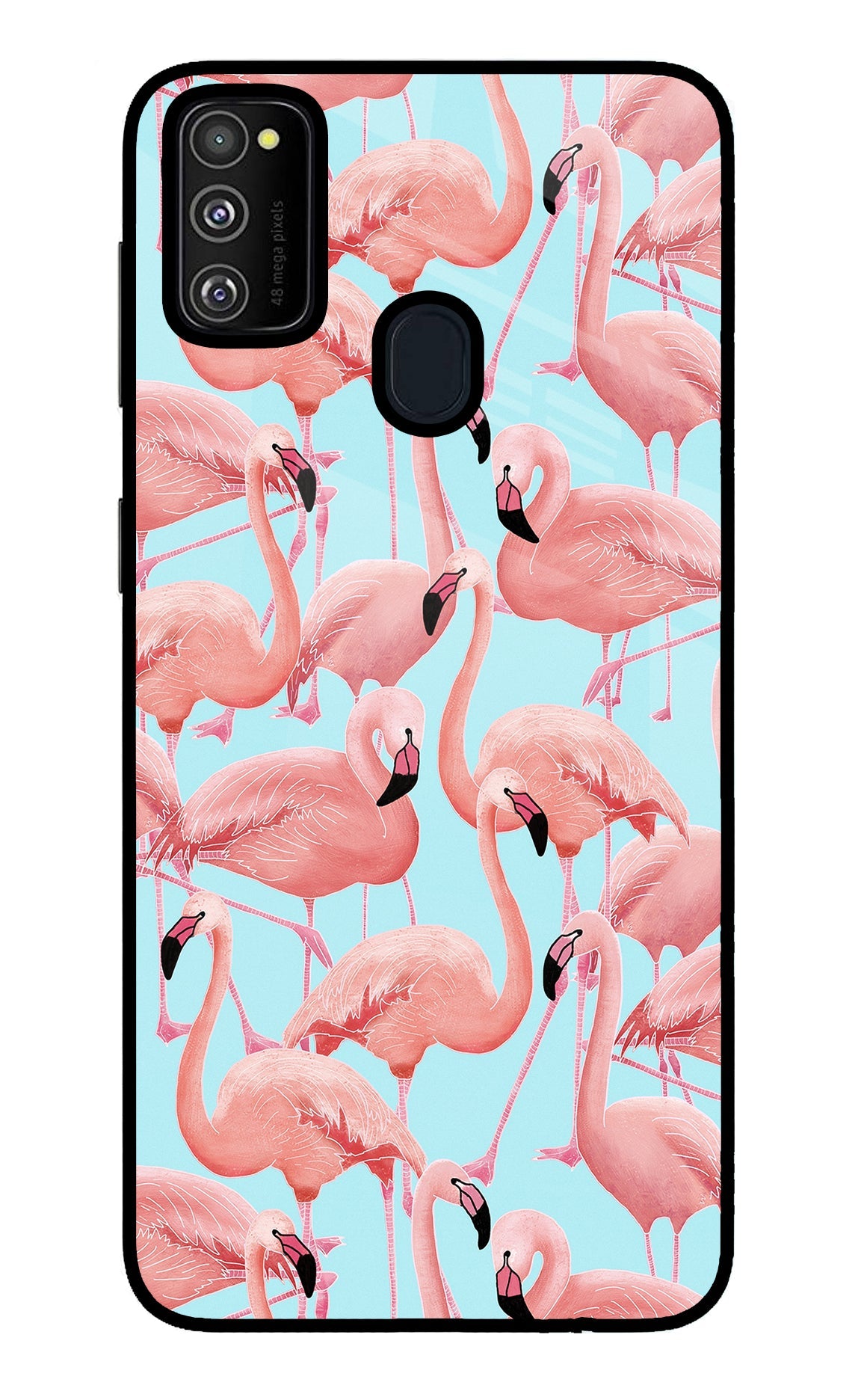 Flamboyance Samsung M30s Glass Case