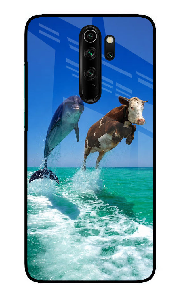 Dolphin vs Cow Redmi Note 8 Pro Glass Case