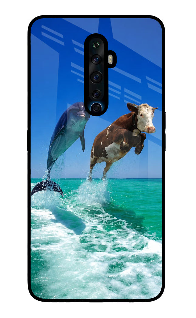 Dolphin vs Cow Oppo Reno2 Z Glass Case Back Cover by Casekaro