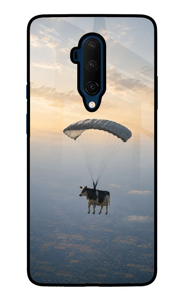 Skydiving Cow Oneplus 7T Pro Glass Case