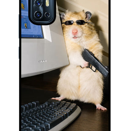 Hacker Hamster Vivo V17 Glass Case