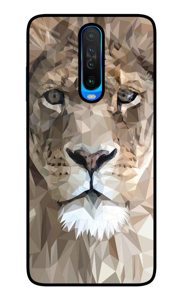 Lion Art Poco X2 Glass Case Back Cover by Casekaro