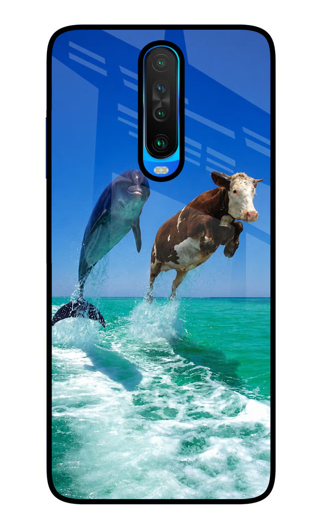 Dolphin vs Cow Poco X2 Glass Case Back Cover by Casekaro
